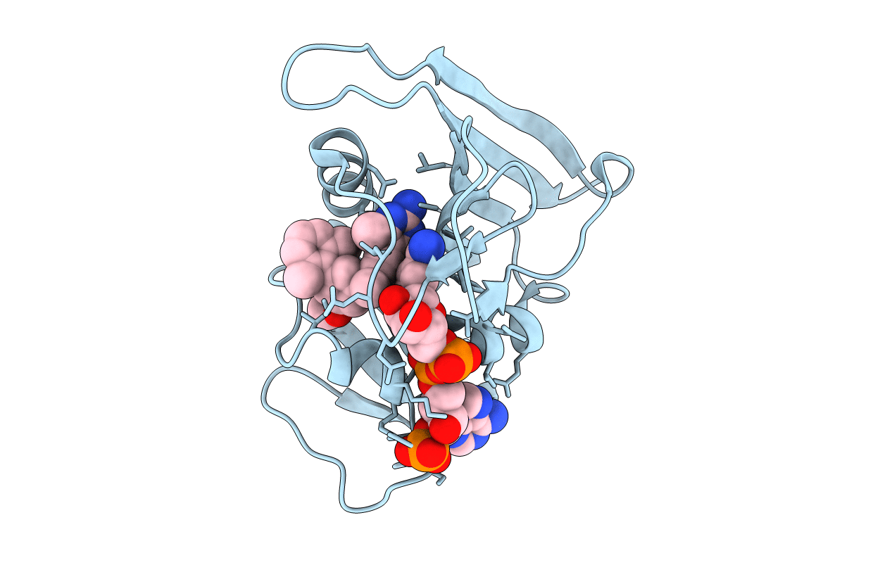 3F0V image