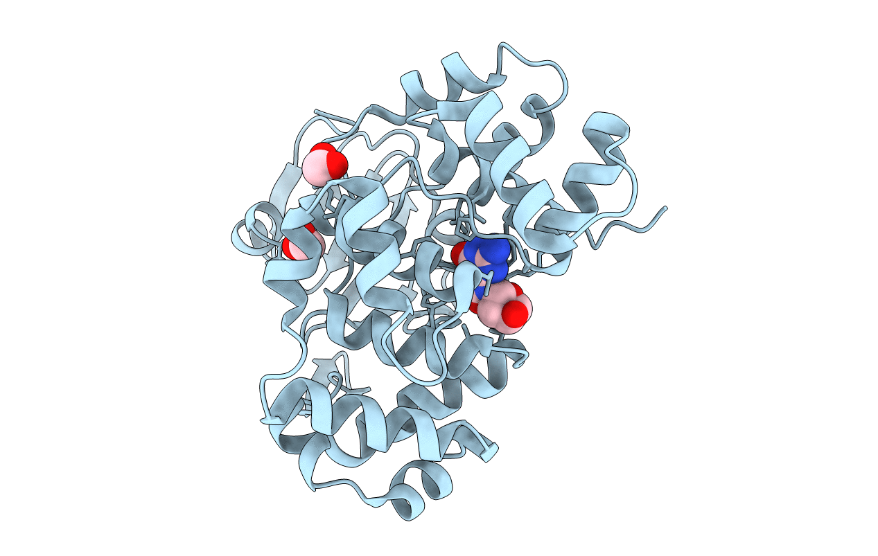 3F10 image