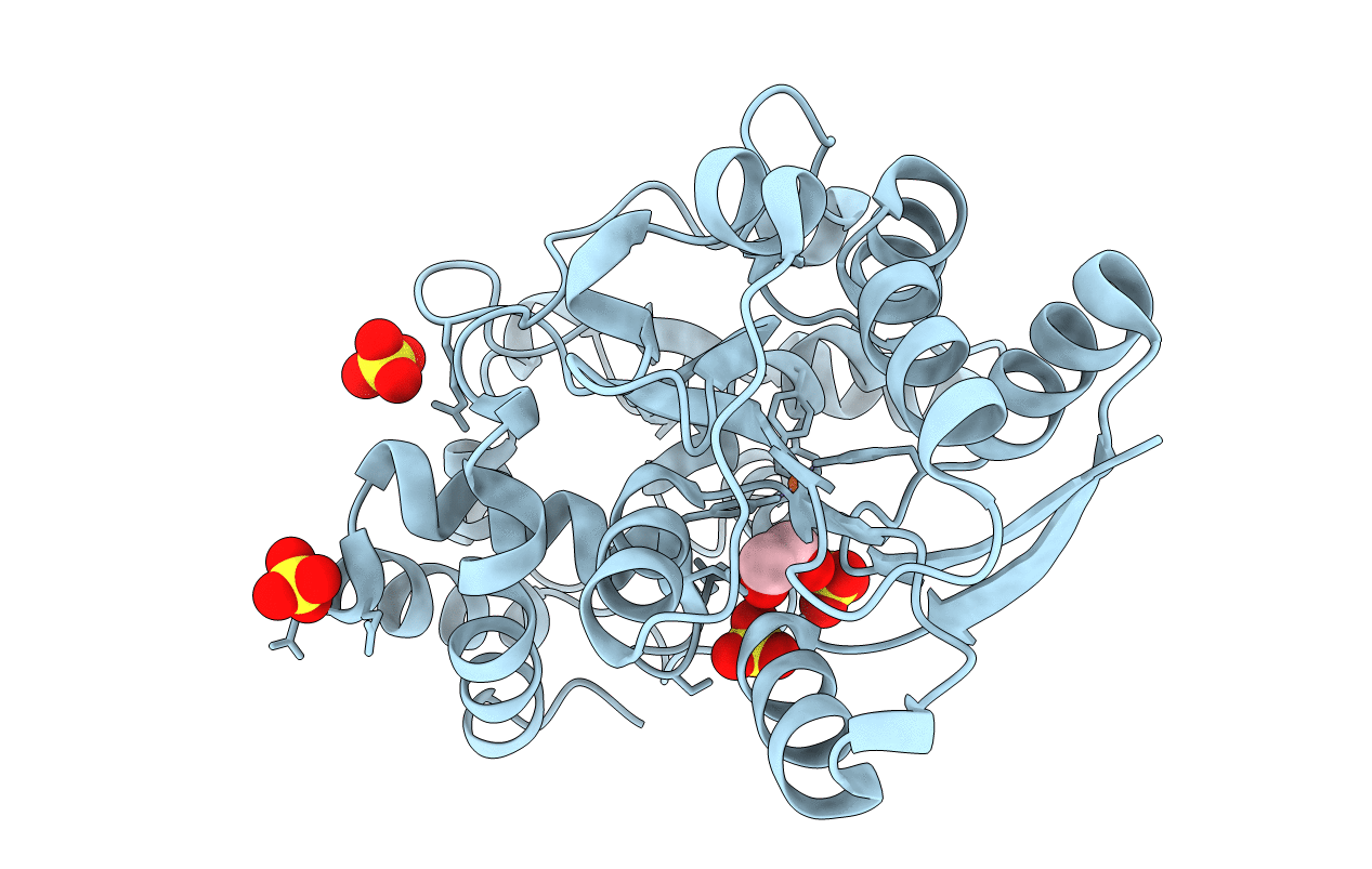 3F11 image