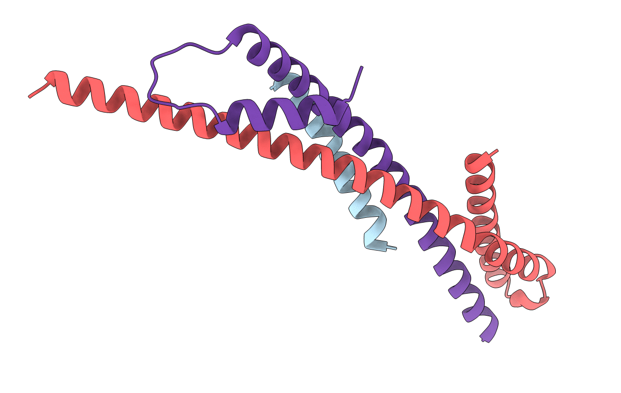 3F1I image
