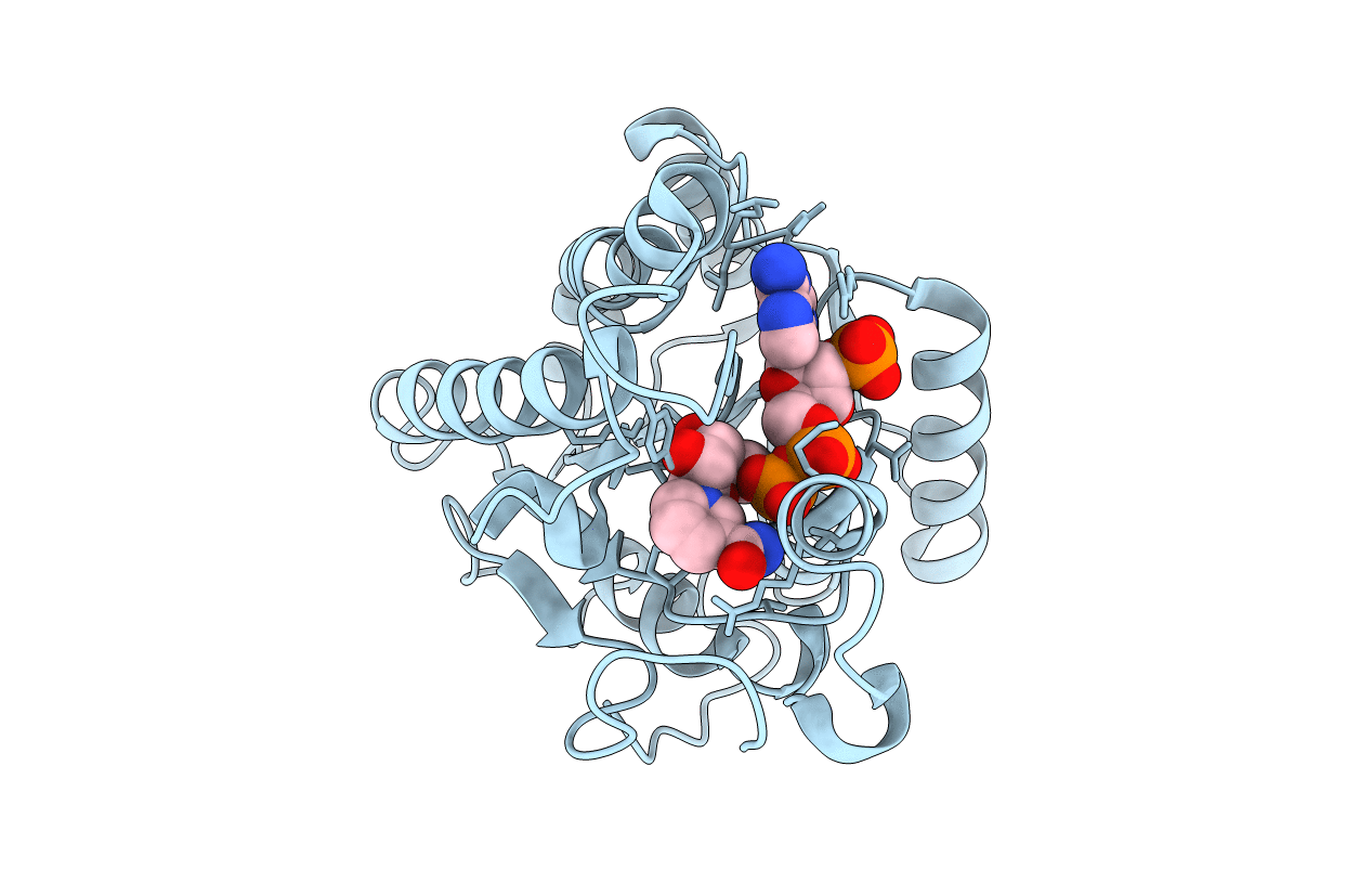 3F1K image