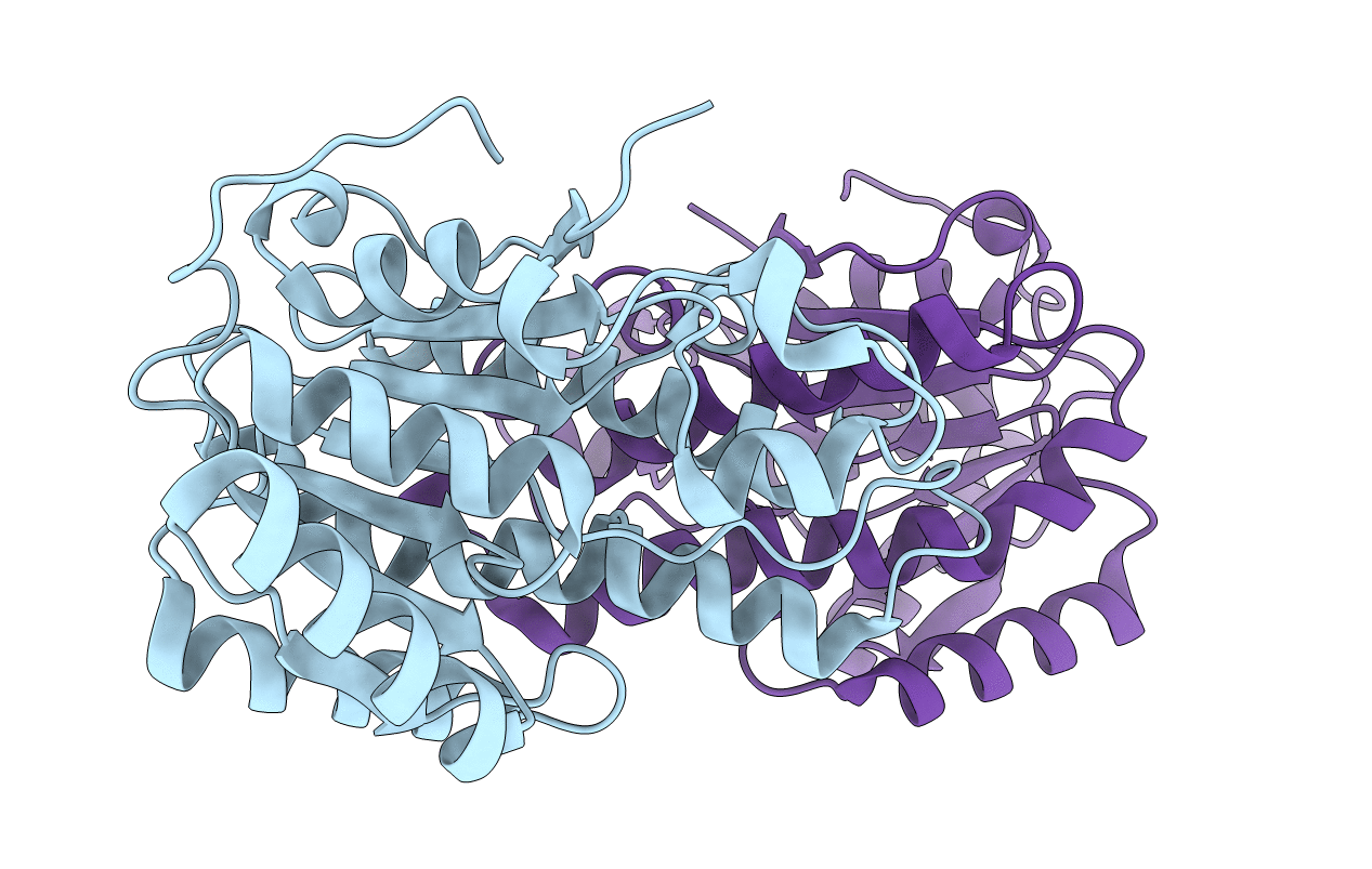 3F1L image