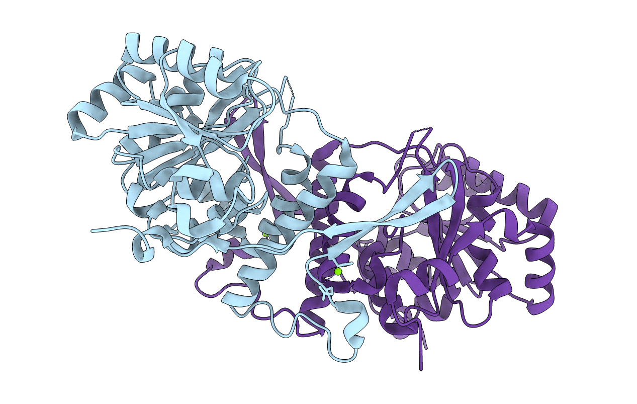 3F1Y image