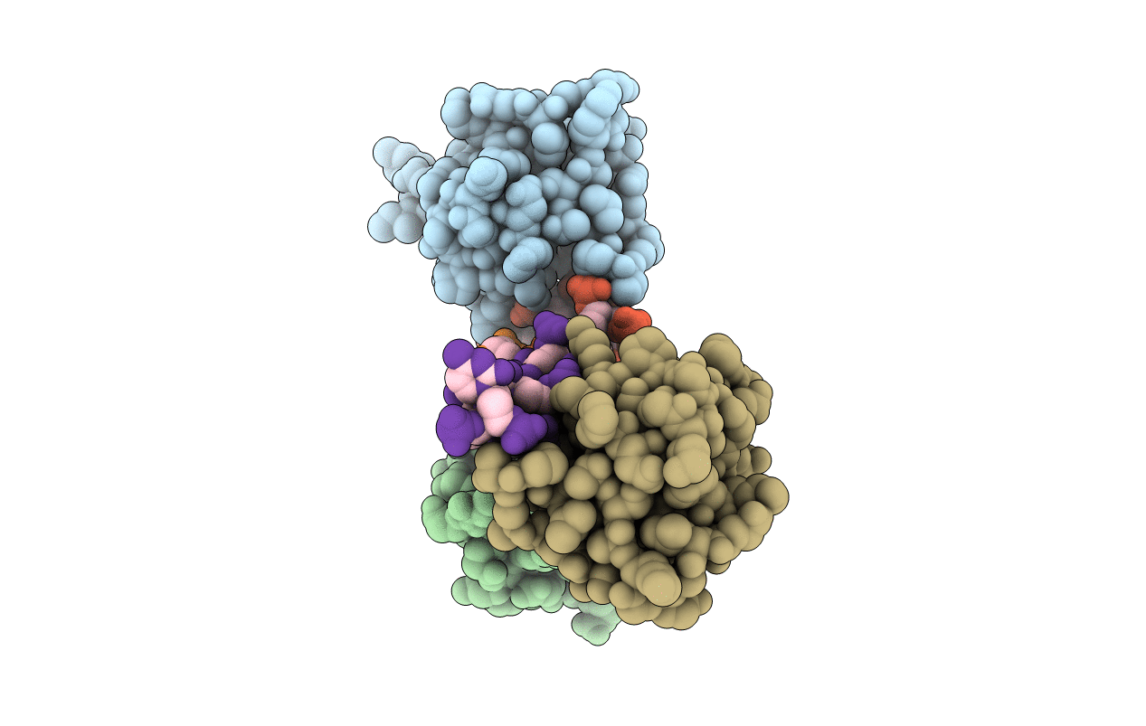 3F21 image