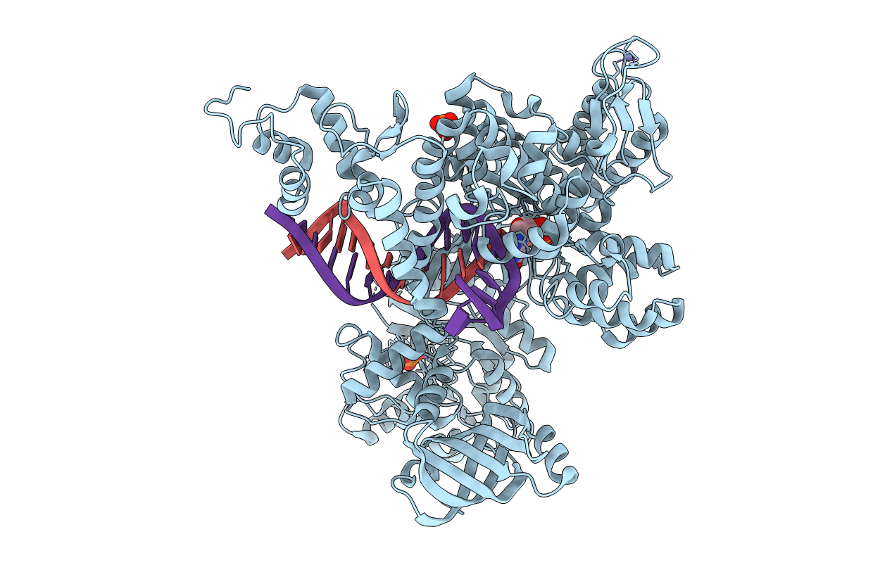 3F2D image
