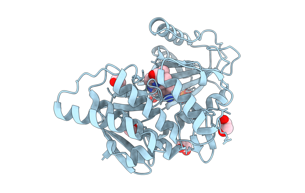 3F2N image