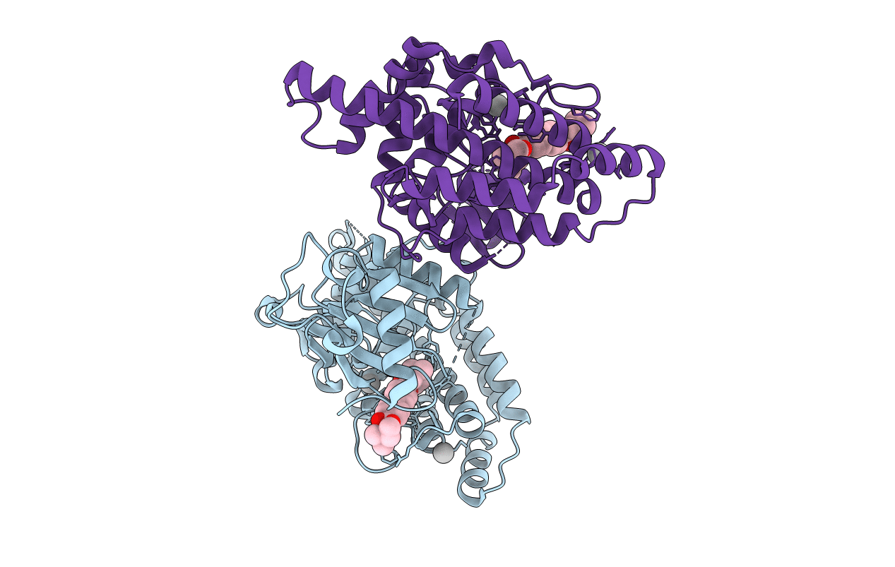 3F2R image