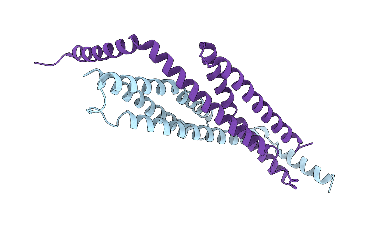 3F31 image