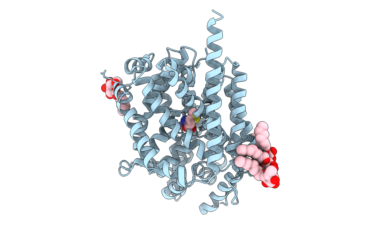 3F3D image