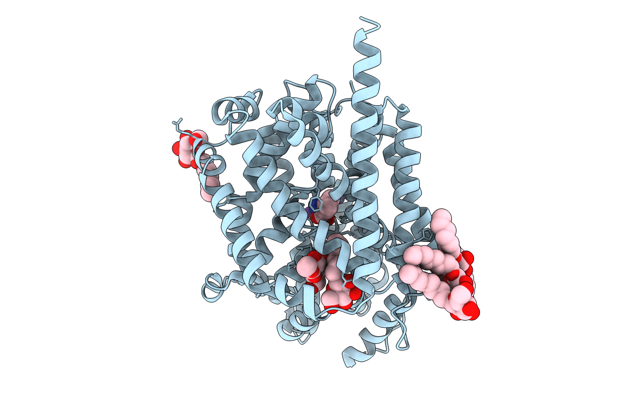 3F3E image