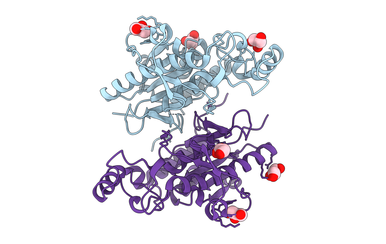 3F3K image