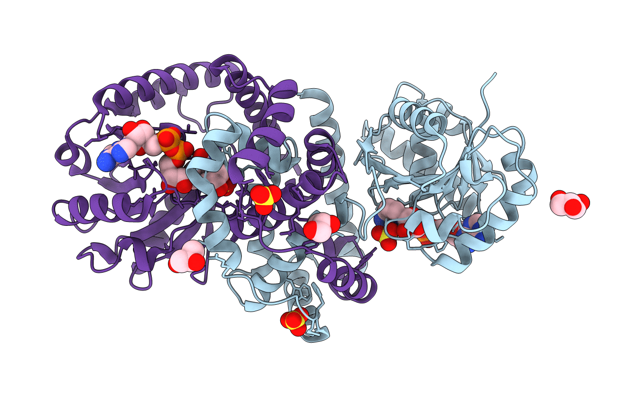 3F3S image