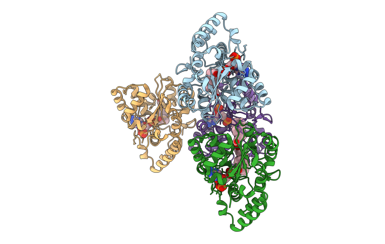 3F3Y image