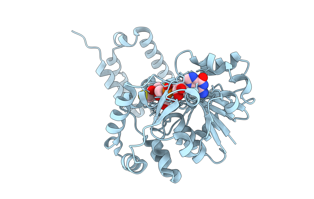 3f46 image