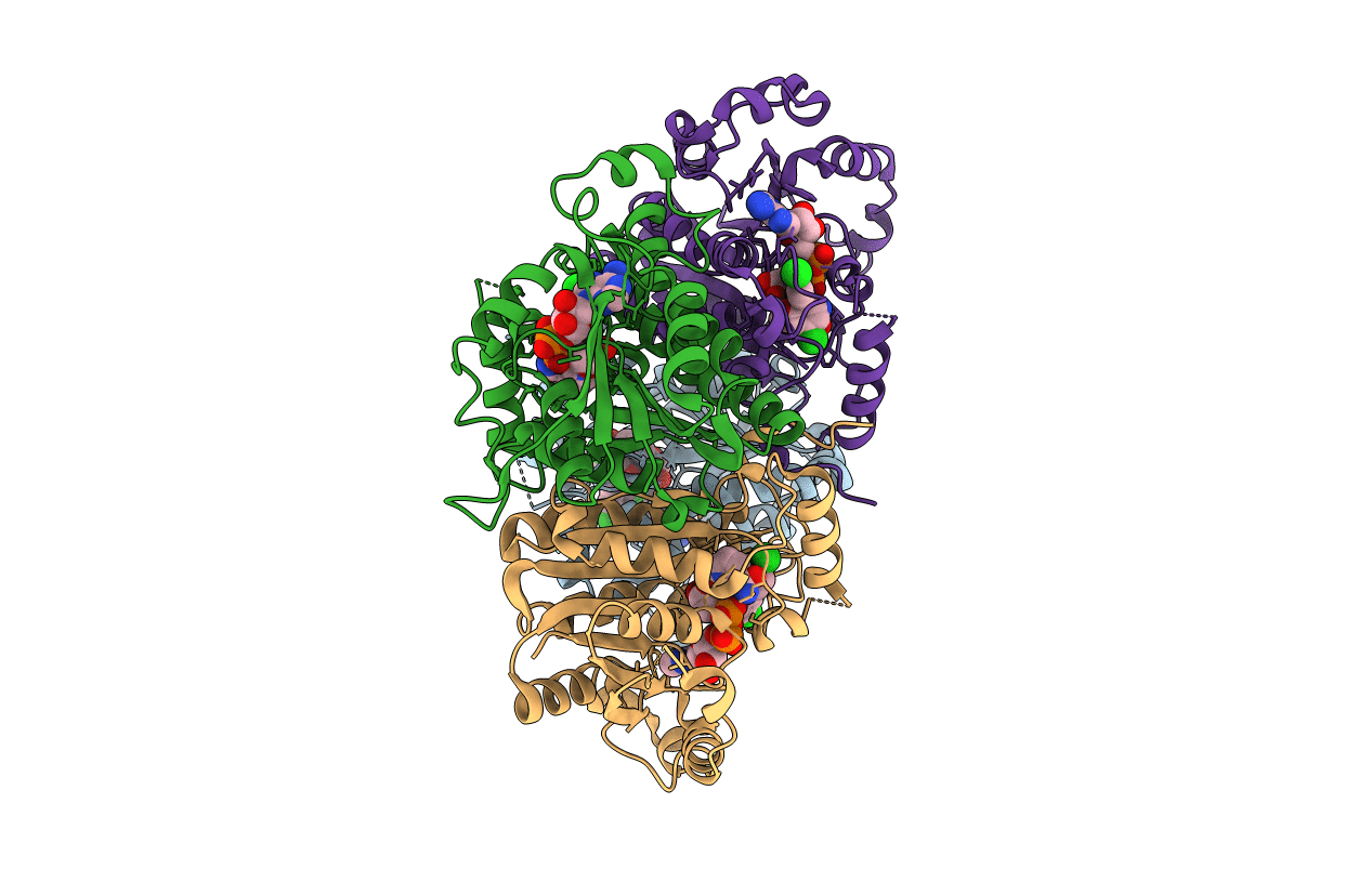 3F4B image