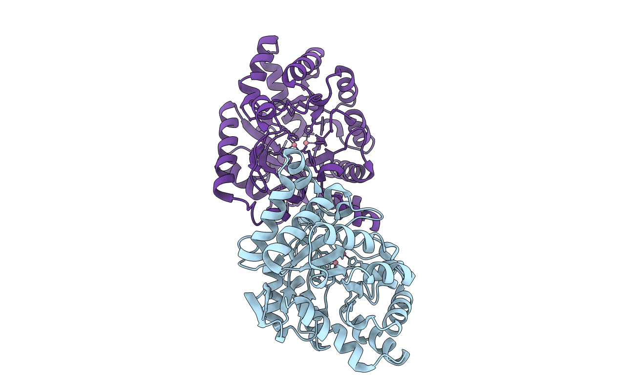3F4D image