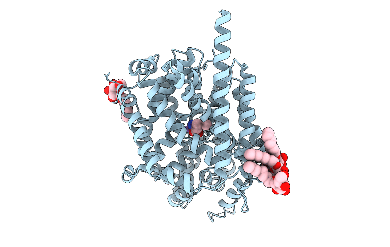 3F4I image