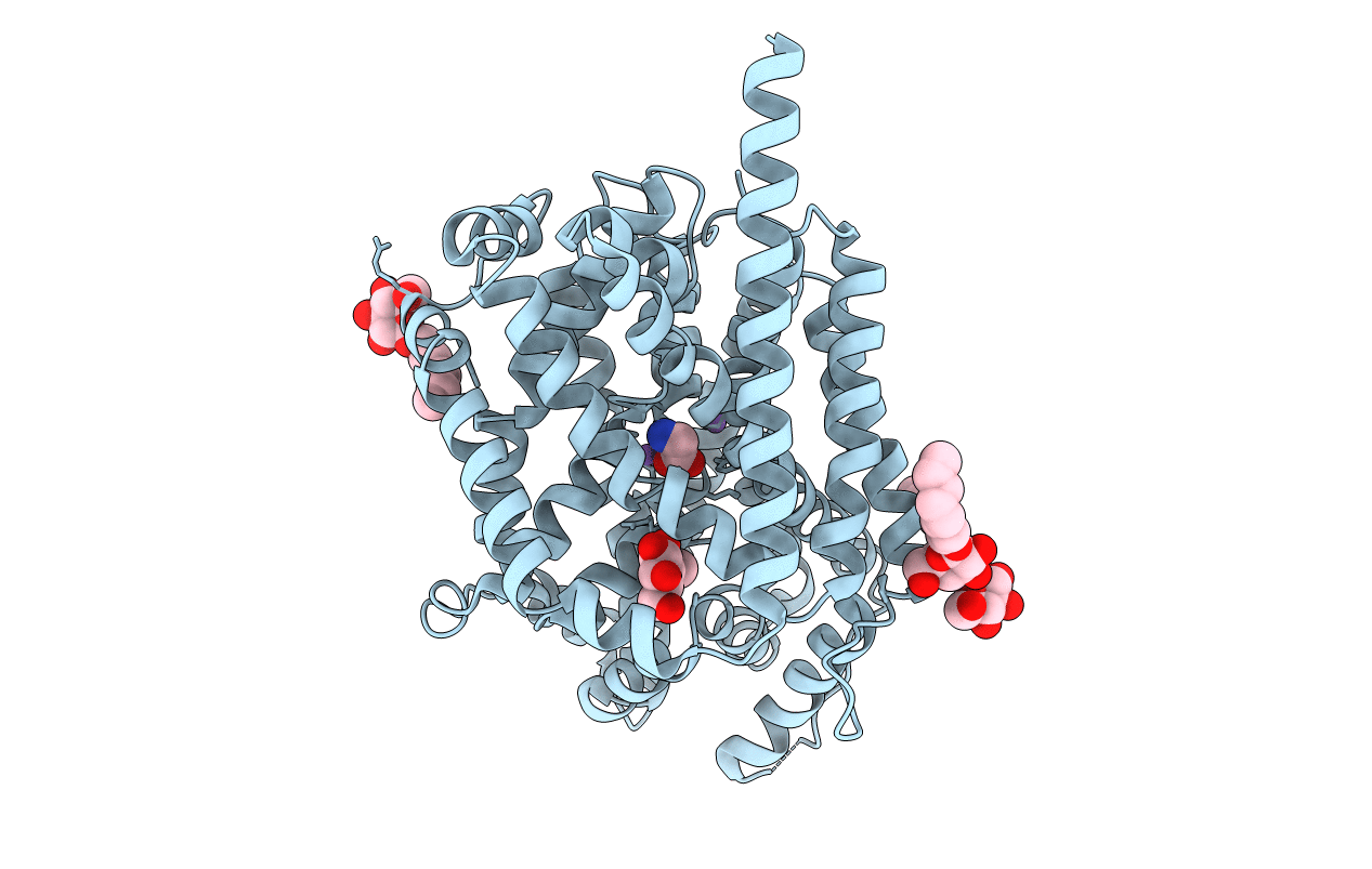3F4J image