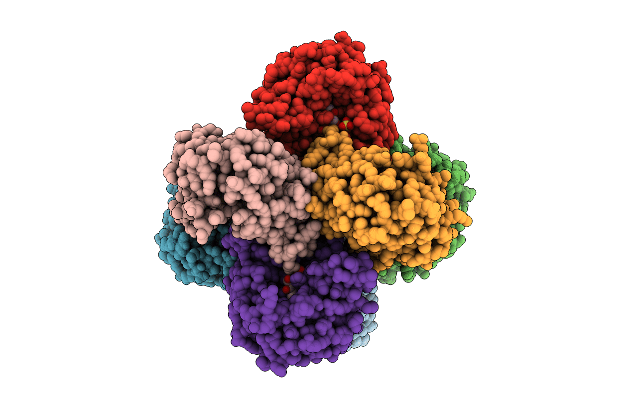 3F4N image