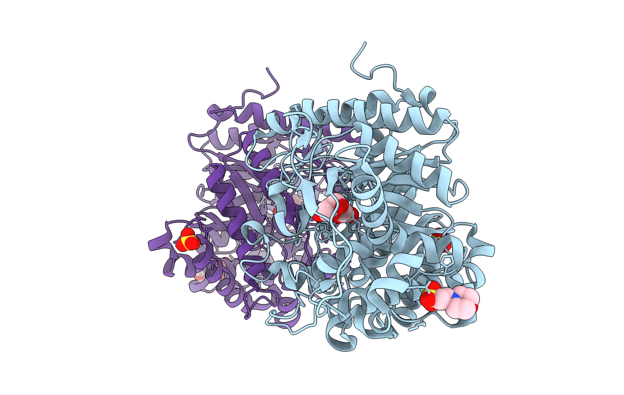 3F4V image