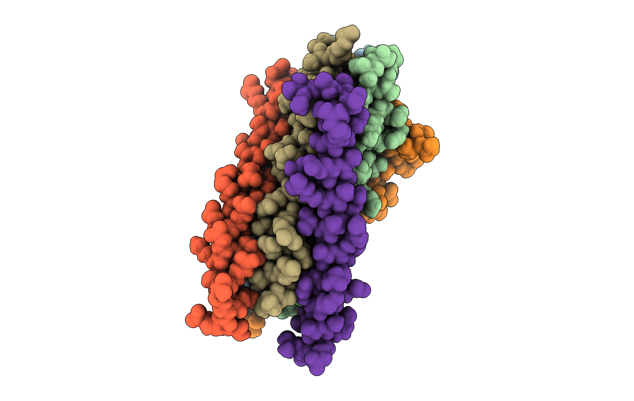 3F4Y image