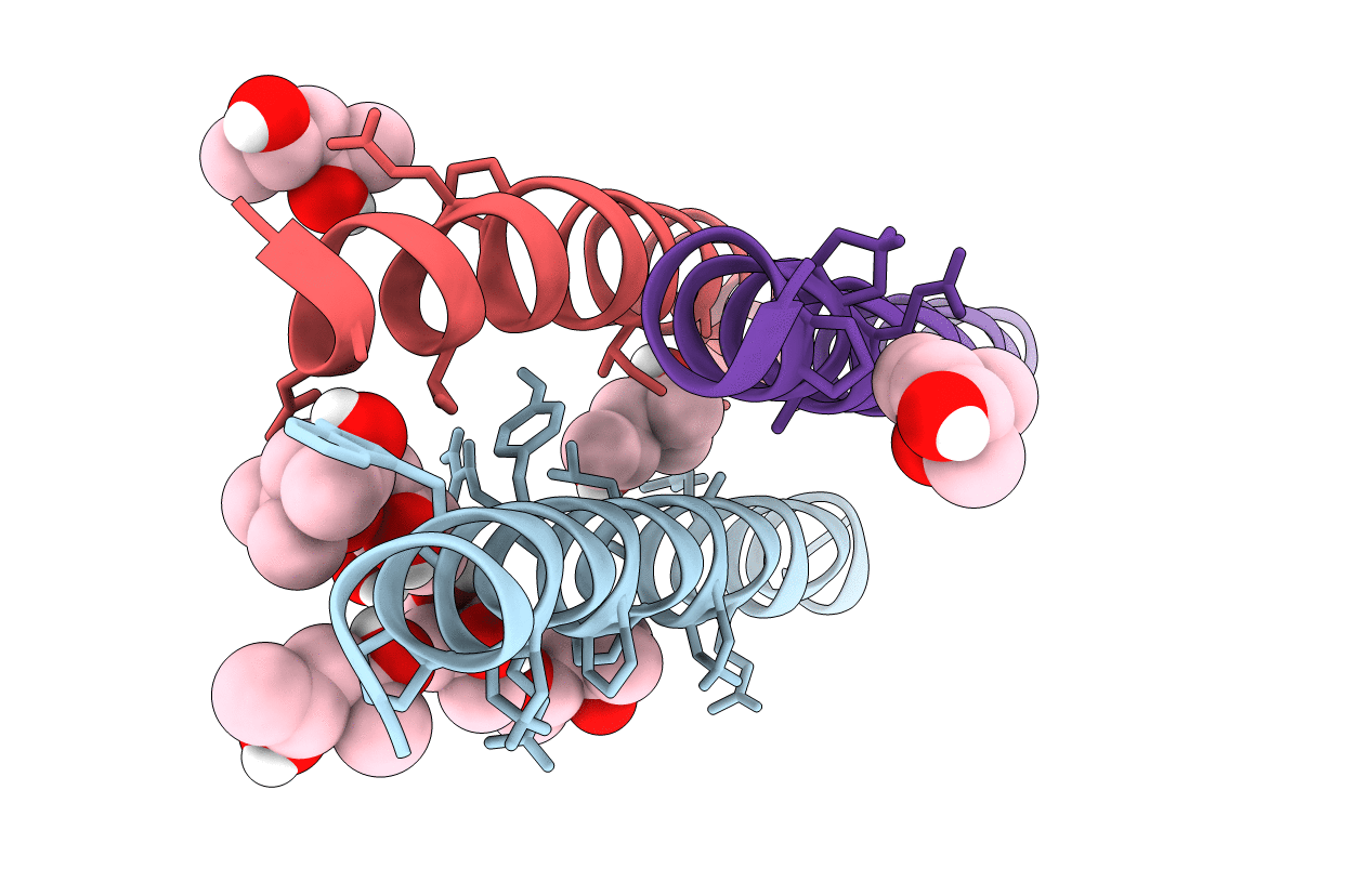 3F4Z image