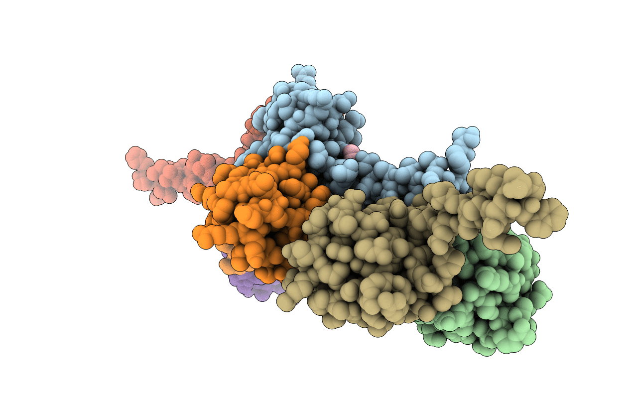 3F51 image