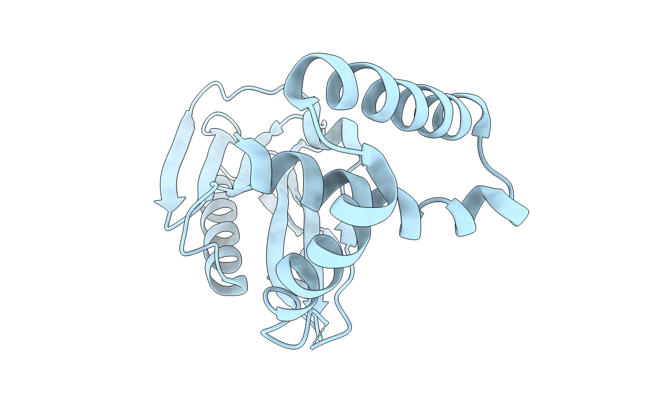 3F5T image