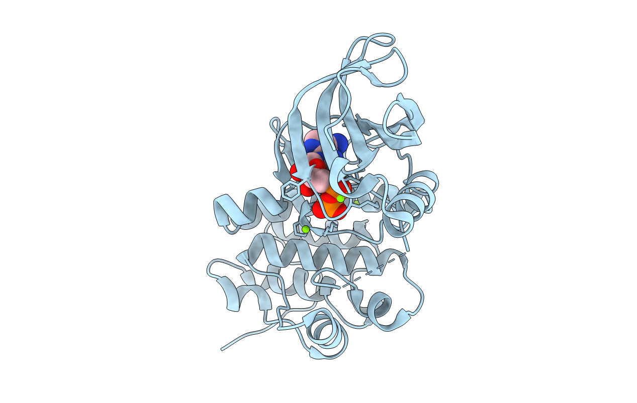 3f61 image
