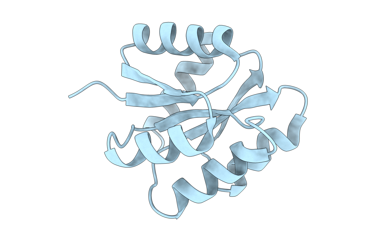 3F6P image