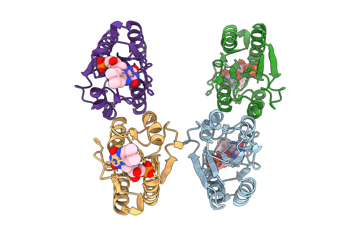 3F6R image