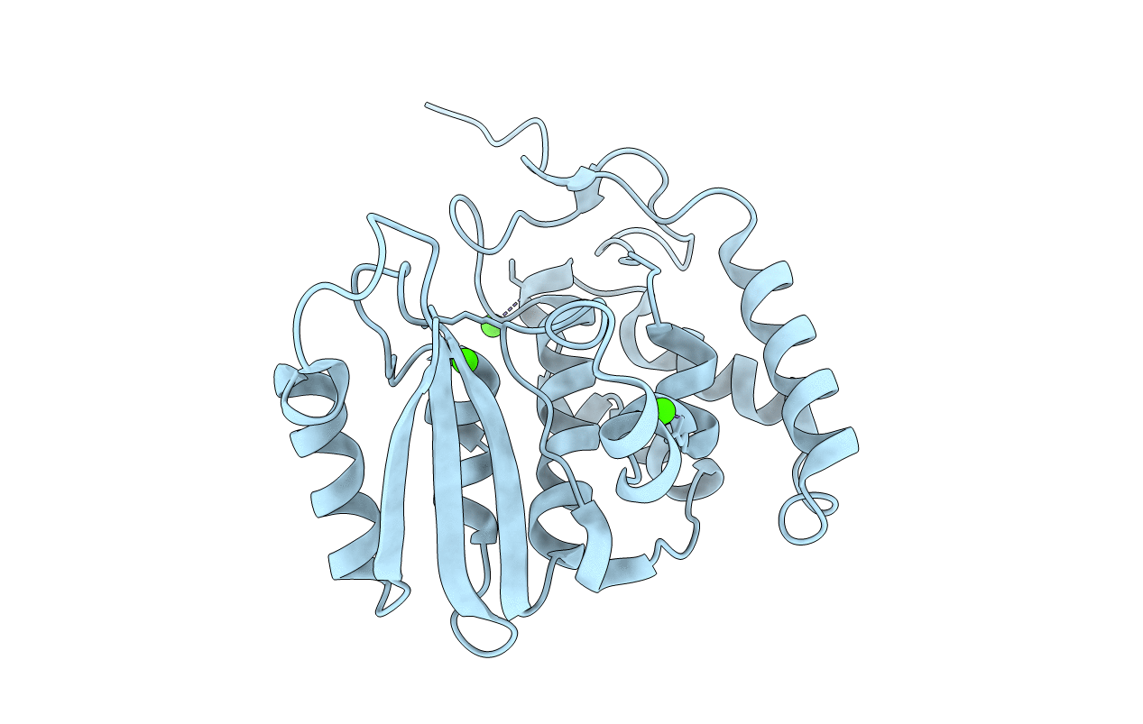 3F6Y image