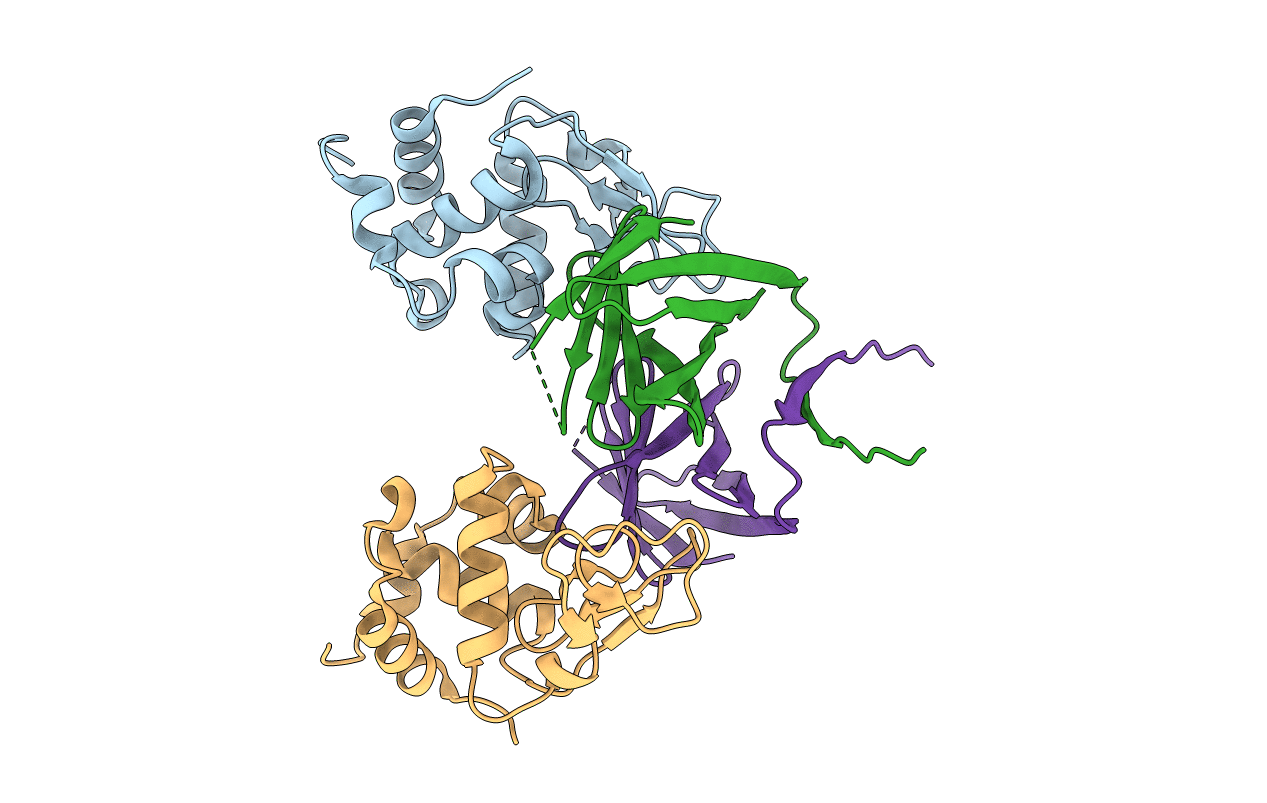 3F6Z image