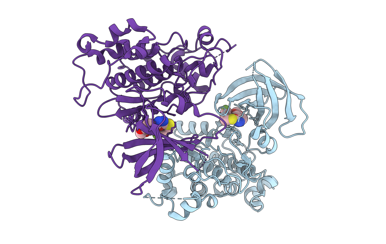 3F7Z image