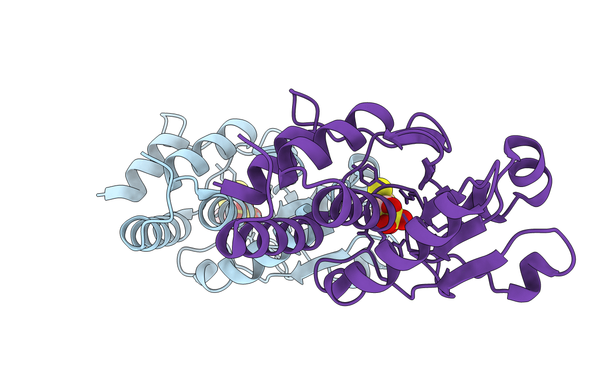 3F81 image