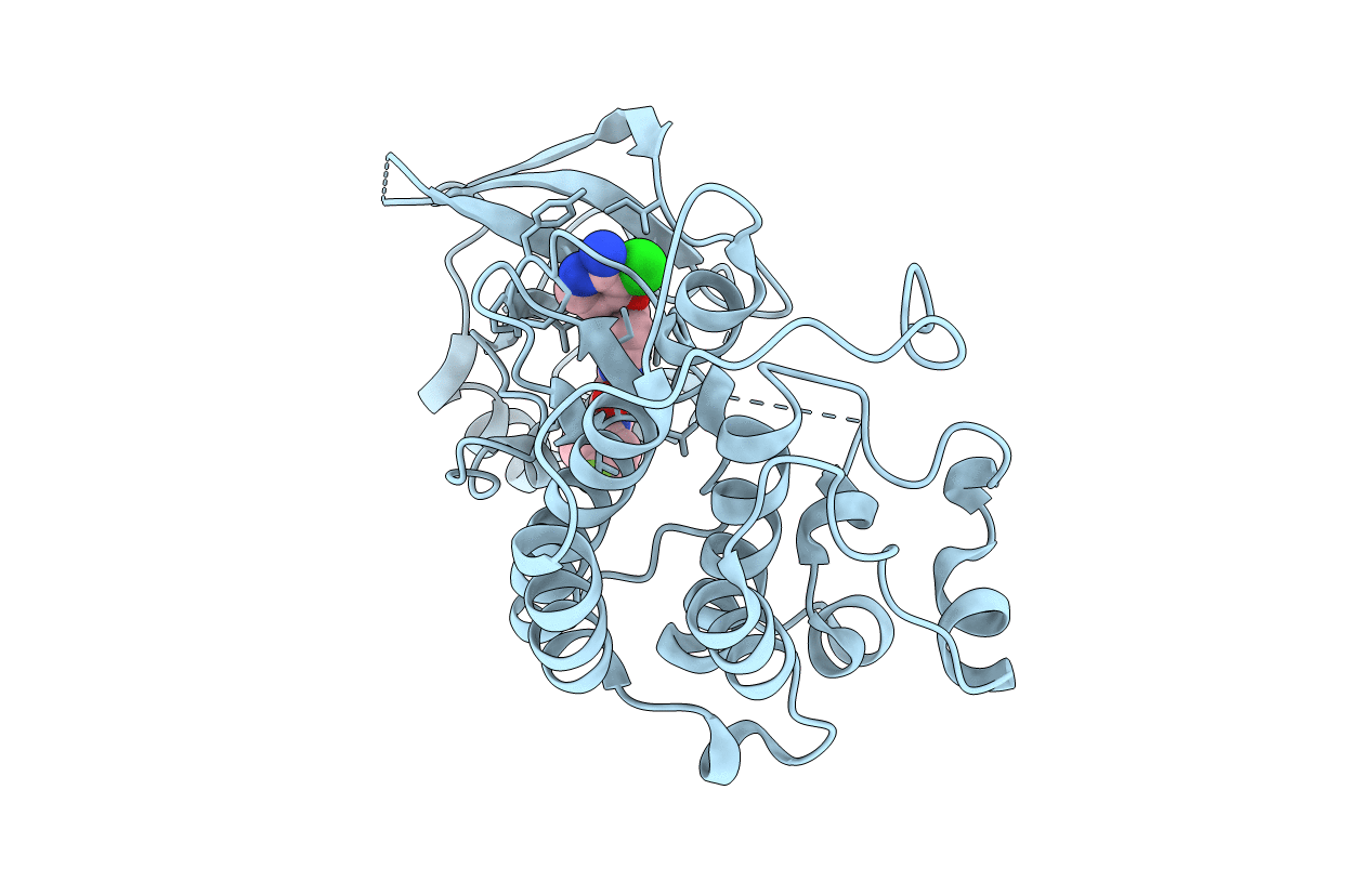 3F82 image
