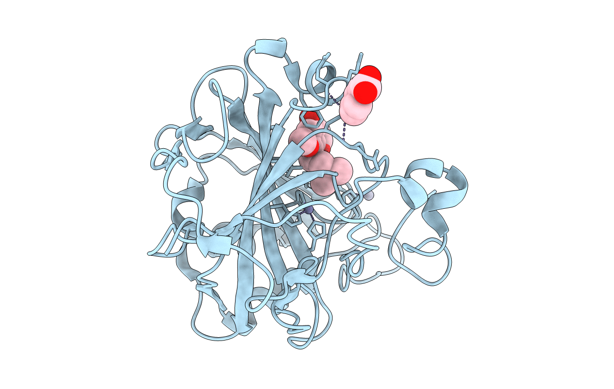 3F8E image