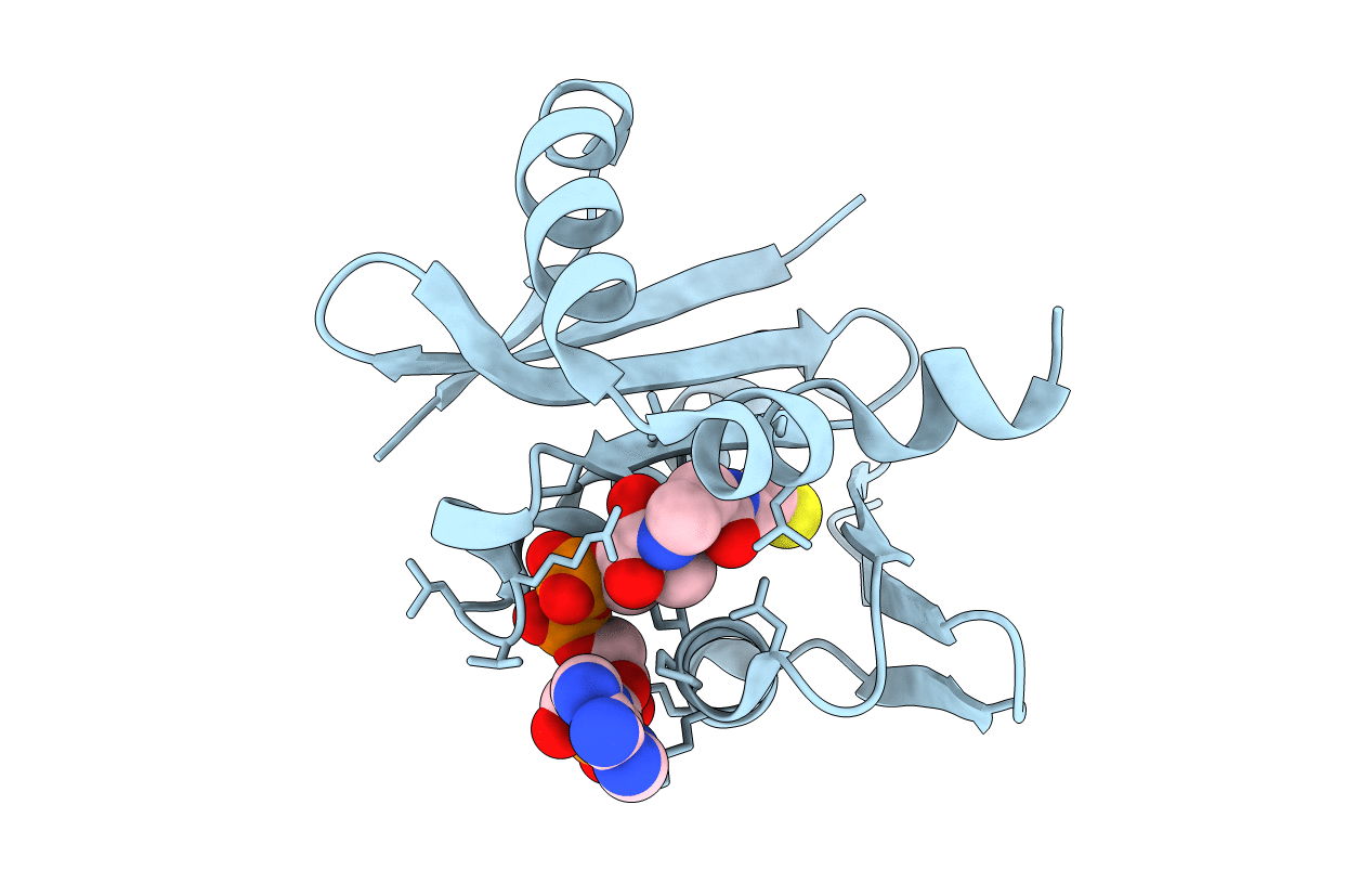 3F8K image
