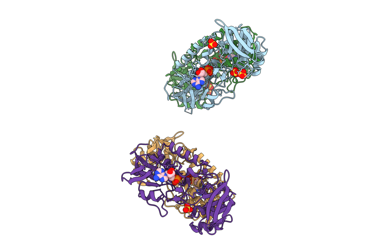 3F8P image