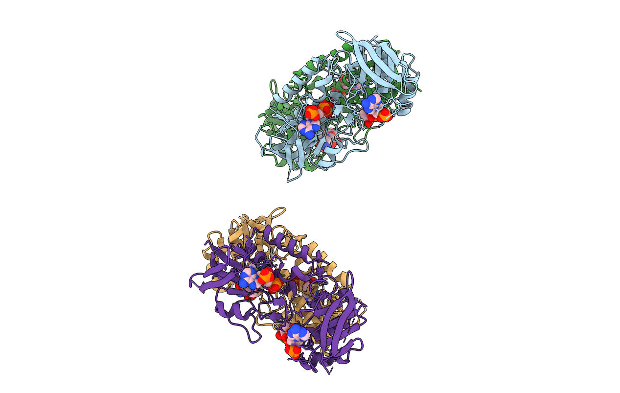 3F8R image