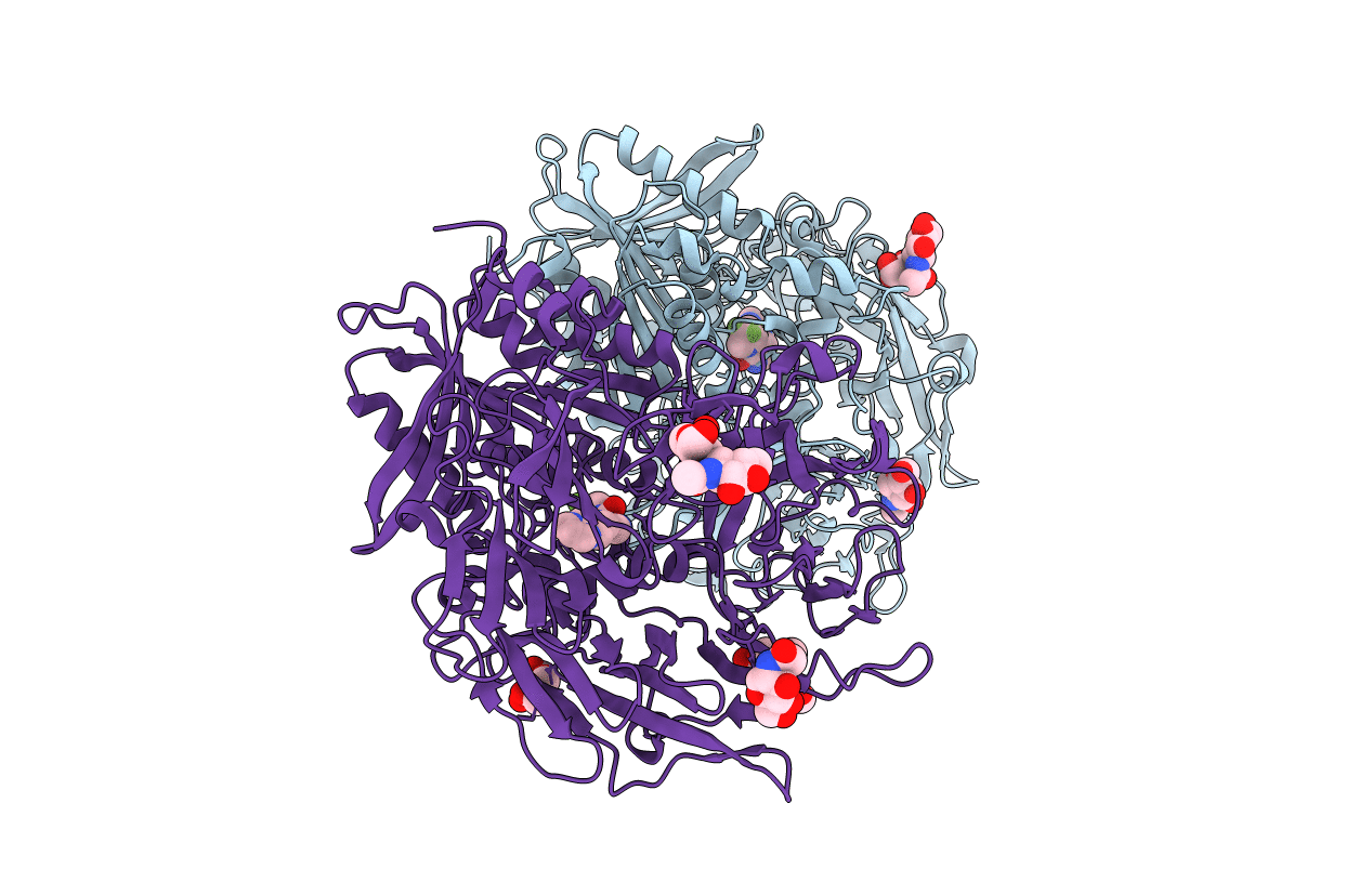 3F8S image