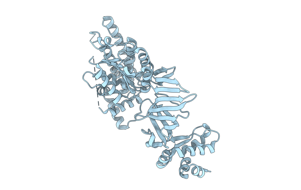 3F8T image