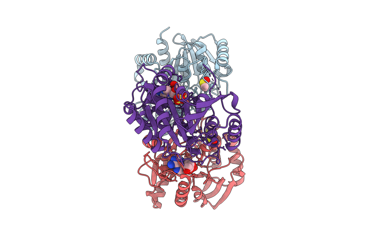3F8W image