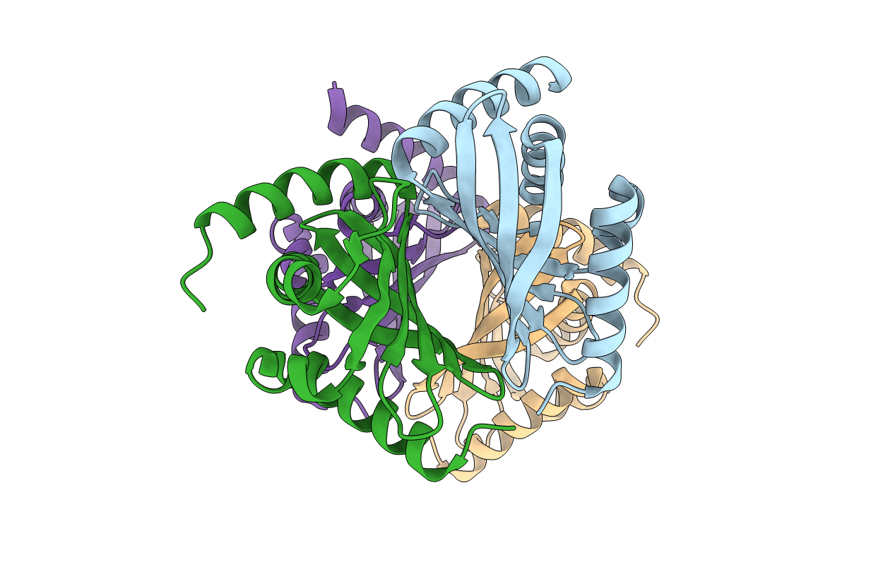 3F8X image