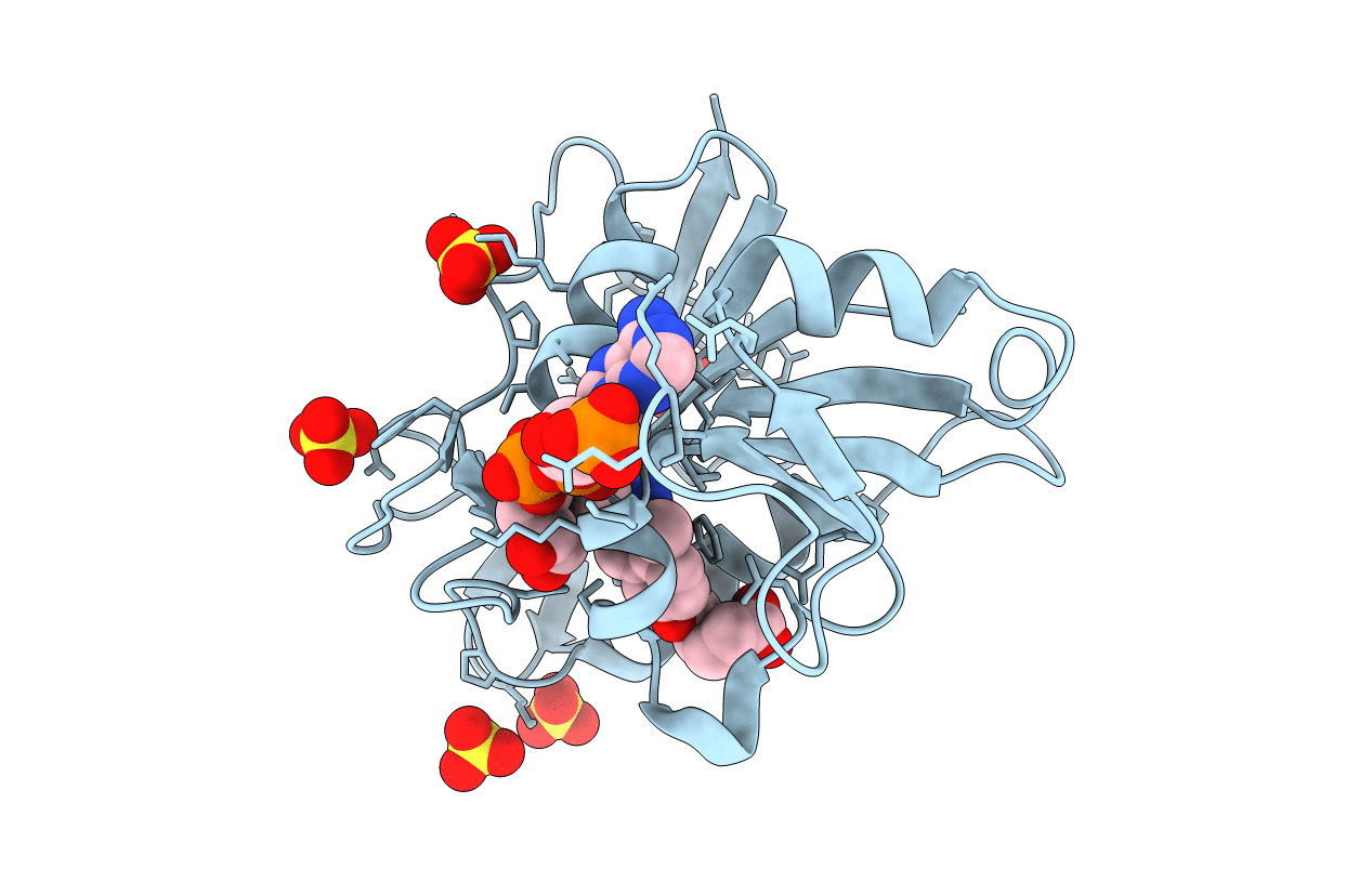 3F8Z image