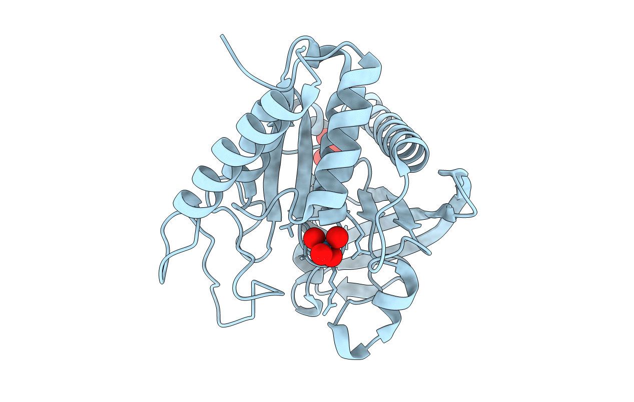 3F9A image