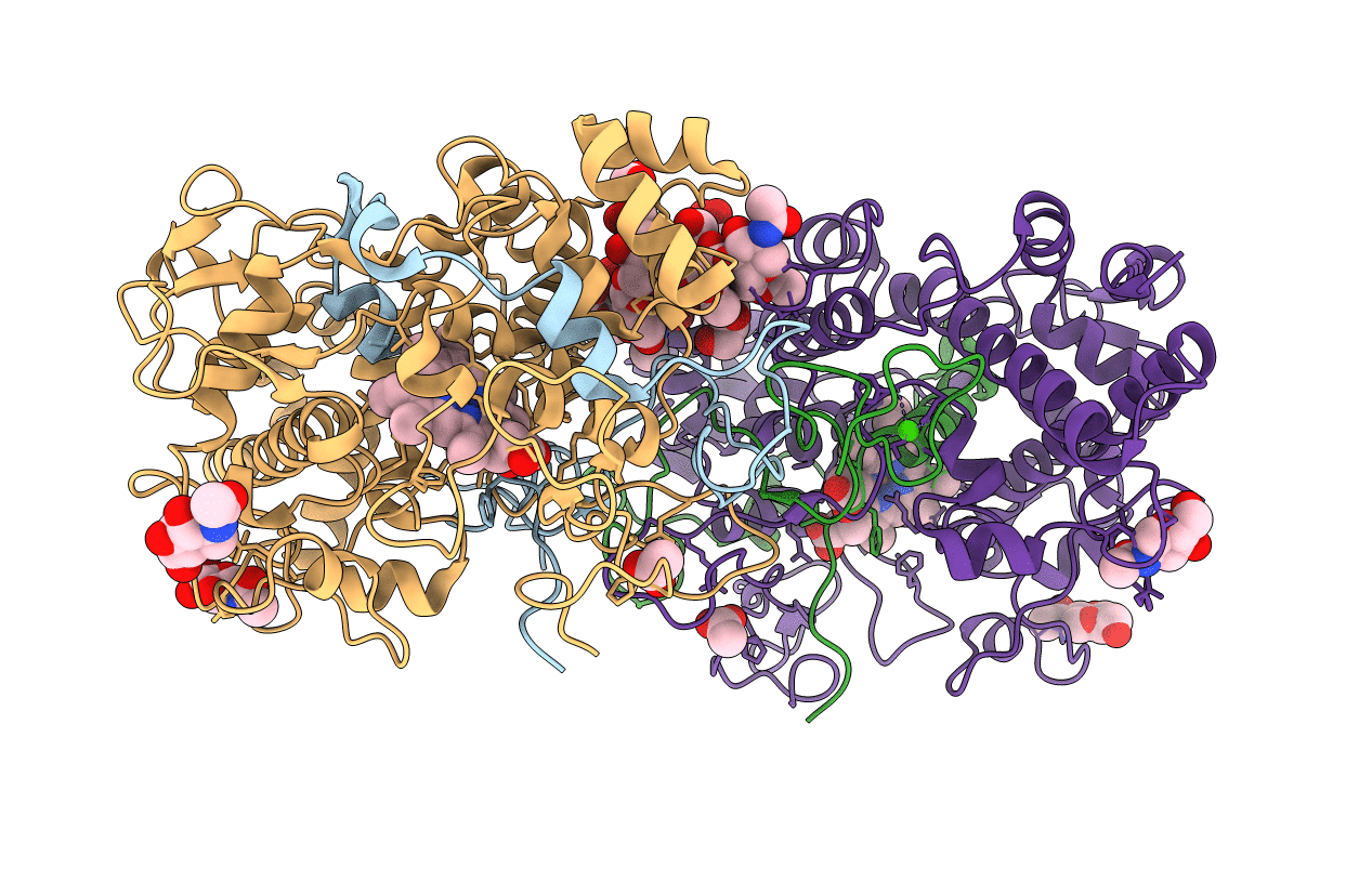 3F9P image