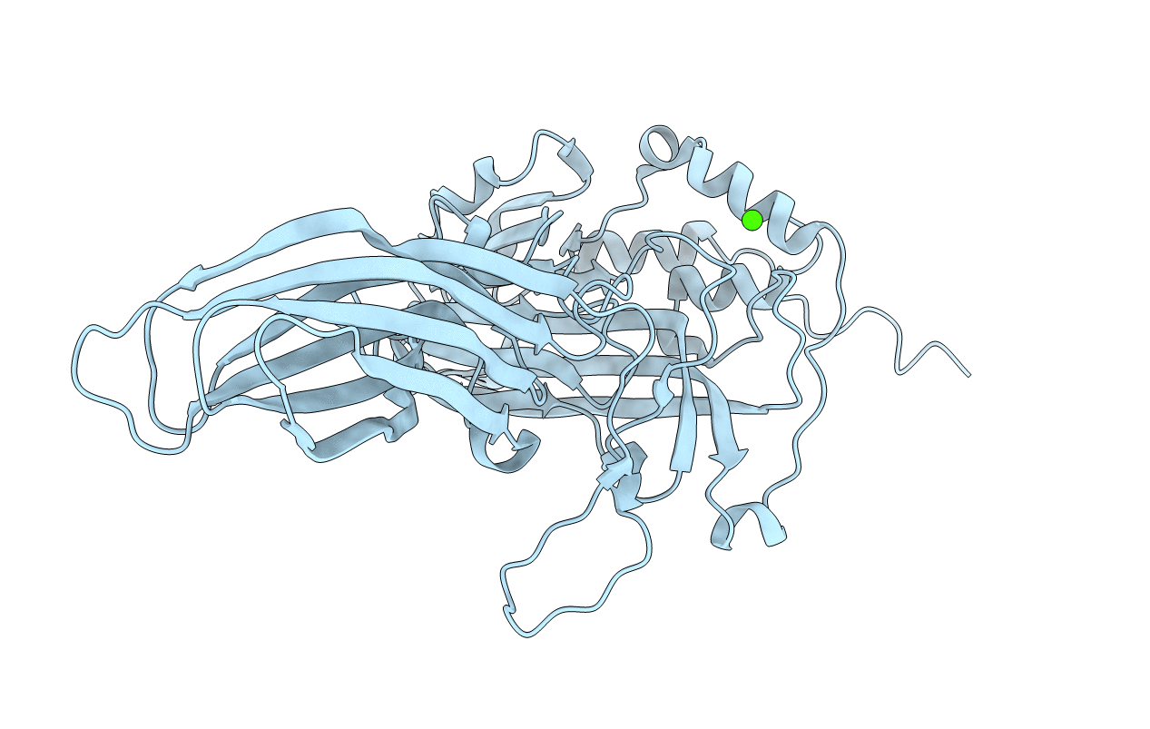 3FBM image