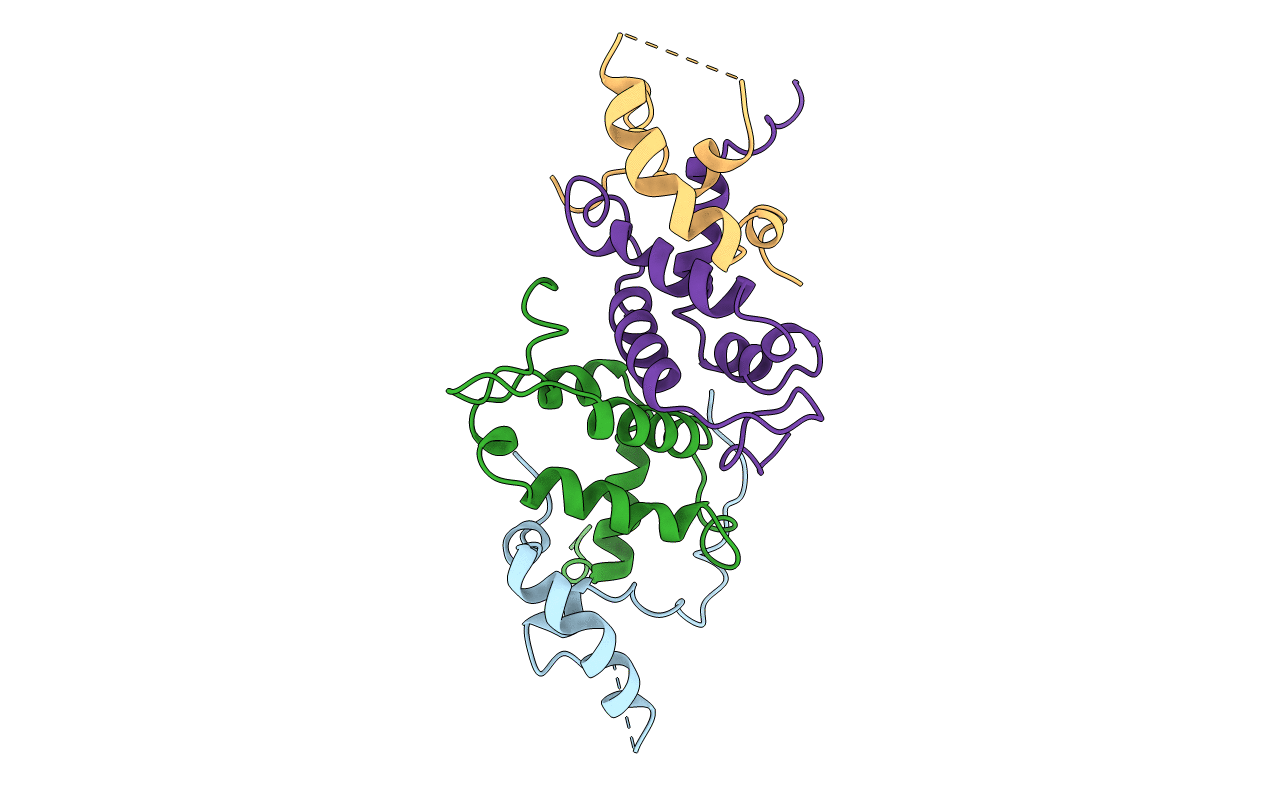 3FBN image