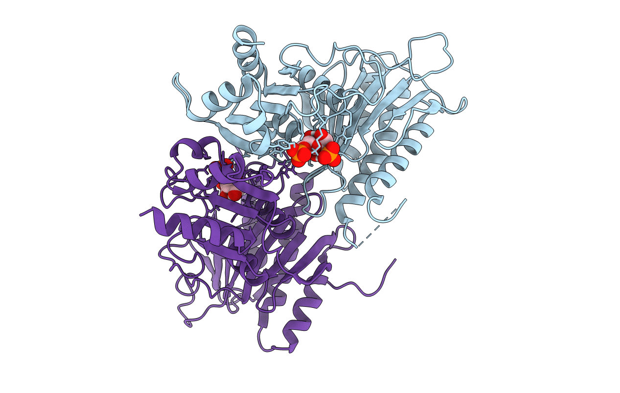 3FBP image